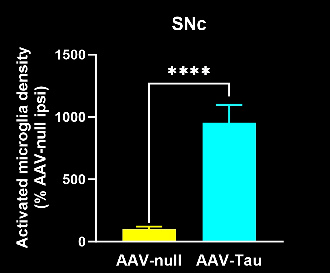 Plot of PERMITS Data Showing Activated Microglia in SNc