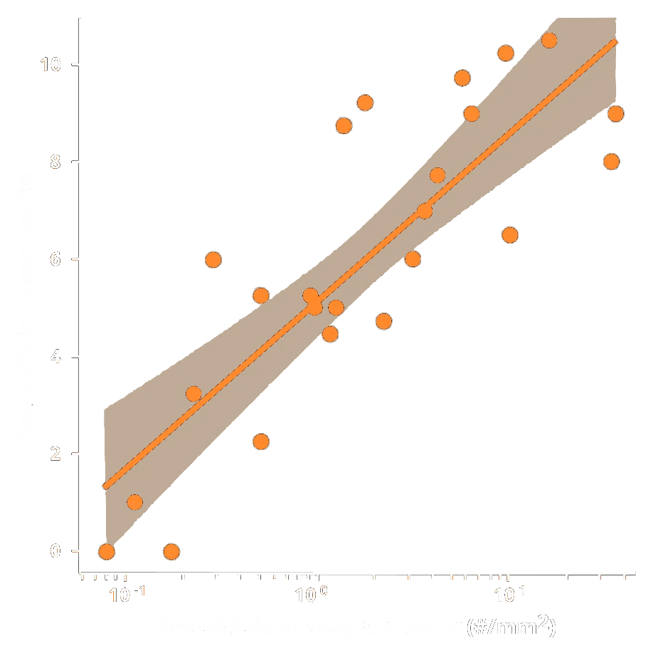 Image montrant la relation entre les scores de motricité et la microglie.